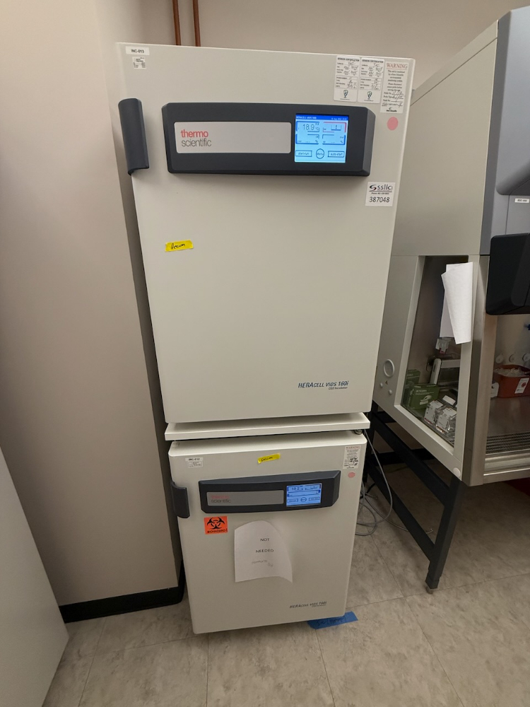 Image of Thermo HERAcell vios 160i Double Stack CO2 Incubator